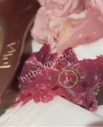 蠕动虫子事件如何维权