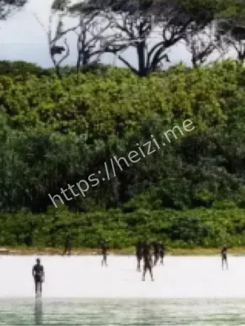 北哨兵岛杀人无罪